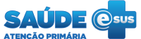 saúde e-sus